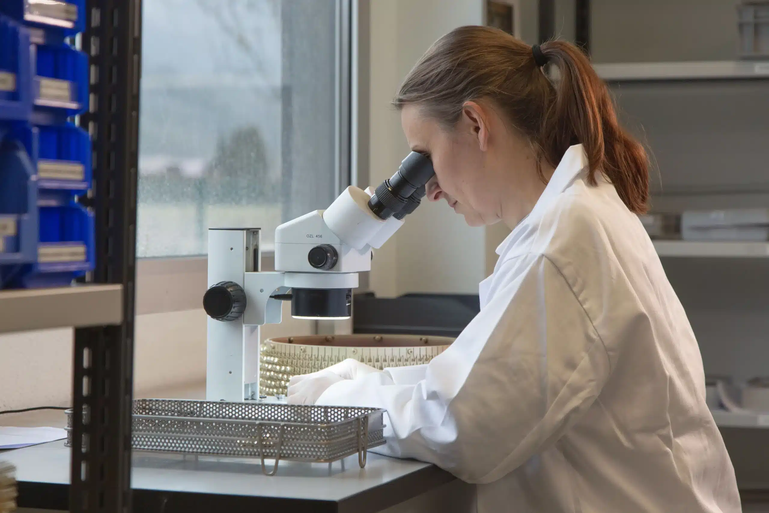 femme regardant dans un microscope